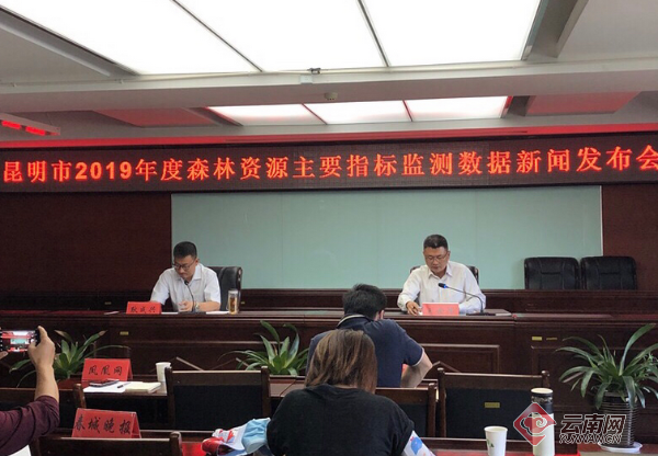 我国森林面积和森林蓄积连续40年双增长