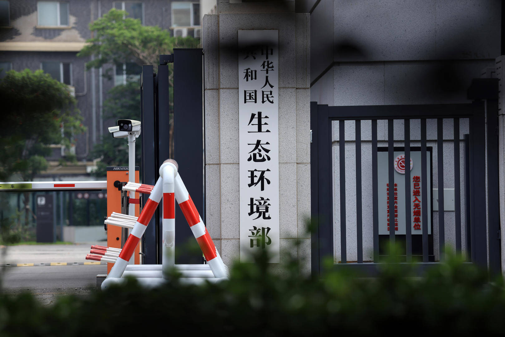 我国森林面积和森林蓄积连续40年双增长