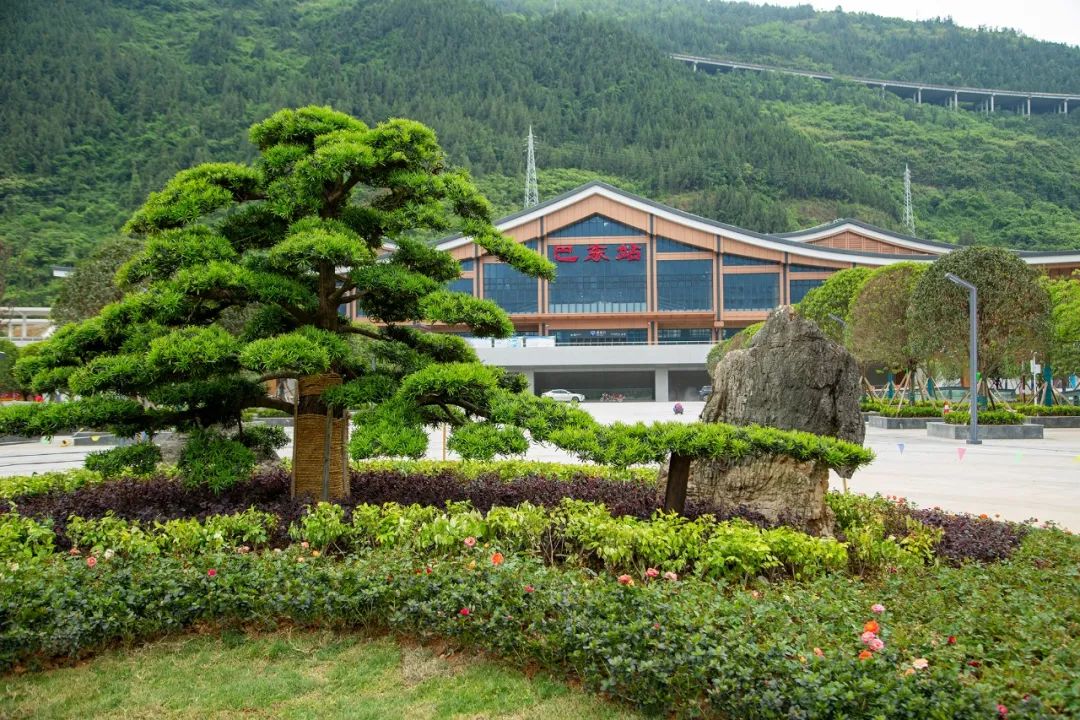 深化要素对接 皖北绿色优质农产品加速入沪